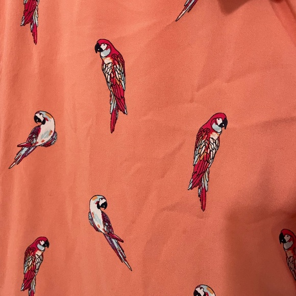 Jimmy Buffett Margaritaville Men’s XXL short Sleeve Button Up Parrot print shirt - Picture 2 of 8